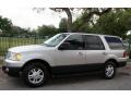 2004 Silver Birch Metallic Ford Expedition XLT 4x4  photo #2