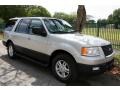 2004 Silver Birch Metallic Ford Expedition XLT 4x4  photo #13