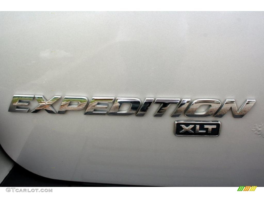 2004 Expedition XLT 4x4 - Silver Birch Metallic / Medium Flint Gray photo #20