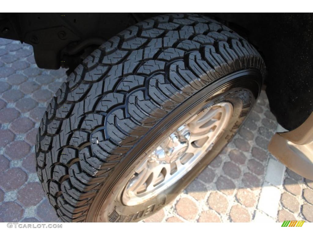 2002 F150 King Ranch SuperCrew 4x4 - Charcoal Blue Metallic / Castano Brown Leather photo #85