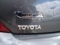 Magnetic Gray Metallic - Solara SE V6 Convertible Photo No. 33