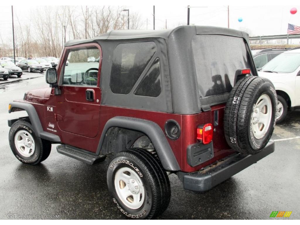 2004 Wrangler X 4x4 - Sienna Pearl / Dark Slate Gray photo #8