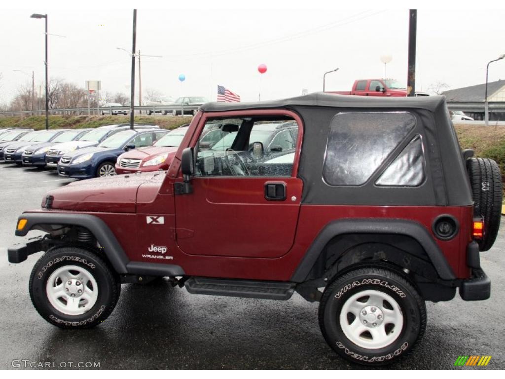 2004 Wrangler X 4x4 - Sienna Pearl / Dark Slate Gray photo #9