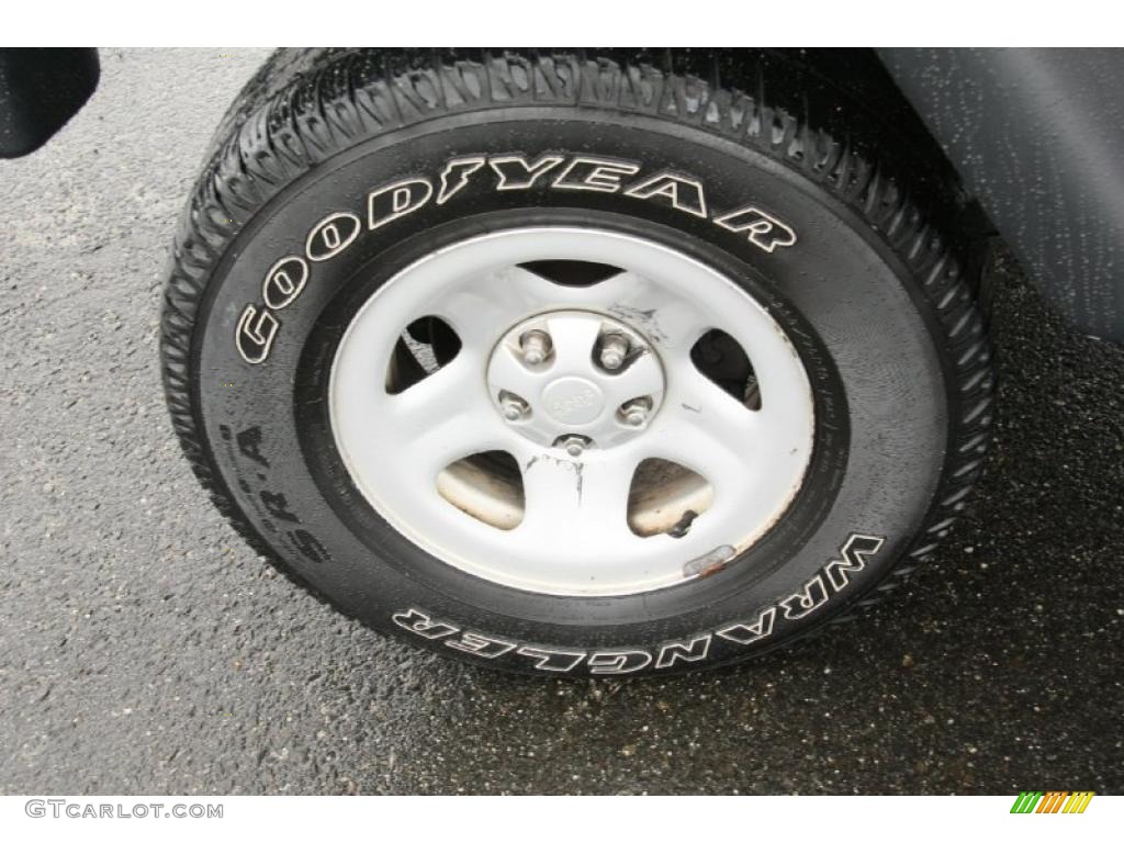 2004 Wrangler X 4x4 - Sienna Pearl / Dark Slate Gray photo #18