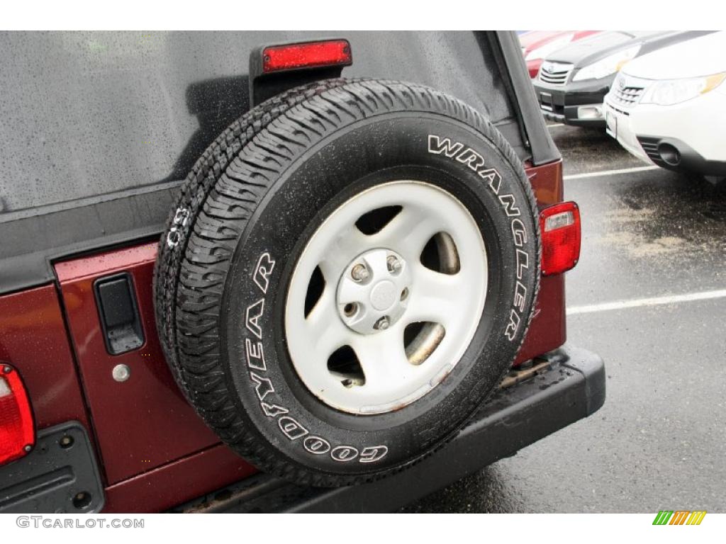 2004 Wrangler X 4x4 - Sienna Pearl / Dark Slate Gray photo #19