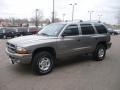 Bright Platinum Metallic - Durango SLT 4x4 Photo No. 2