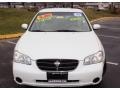 Icelandic Pearl - Maxima GLE Photo No. 2