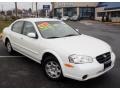 Icelandic Pearl - Maxima GLE Photo No. 3