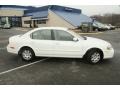 Icelandic Pearl - Maxima GLE Photo No. 4