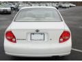 Icelandic Pearl - Maxima GLE Photo No. 7