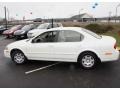 Icelandic Pearl - Maxima GLE Photo No. 9