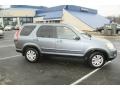 2005 Pewter Pearl Honda CR-V Special Edition 4WD  photo #4