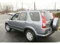 2005 Pewter Pearl Honda CR-V Special Edition 4WD  photo #9