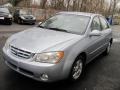 2004 Clear Silver Kia Spectra LX Sedan  photo #21