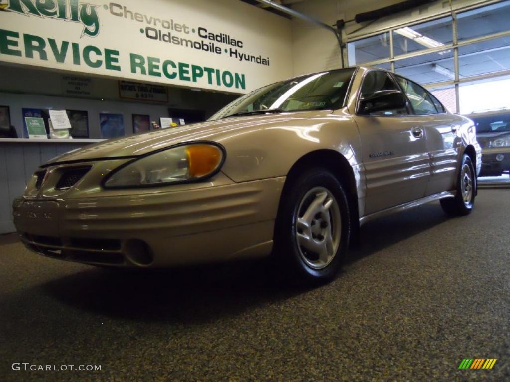 2000 Grand Am SE Sedan - Auburn Mist Metallic / Dark Pewter photo #2