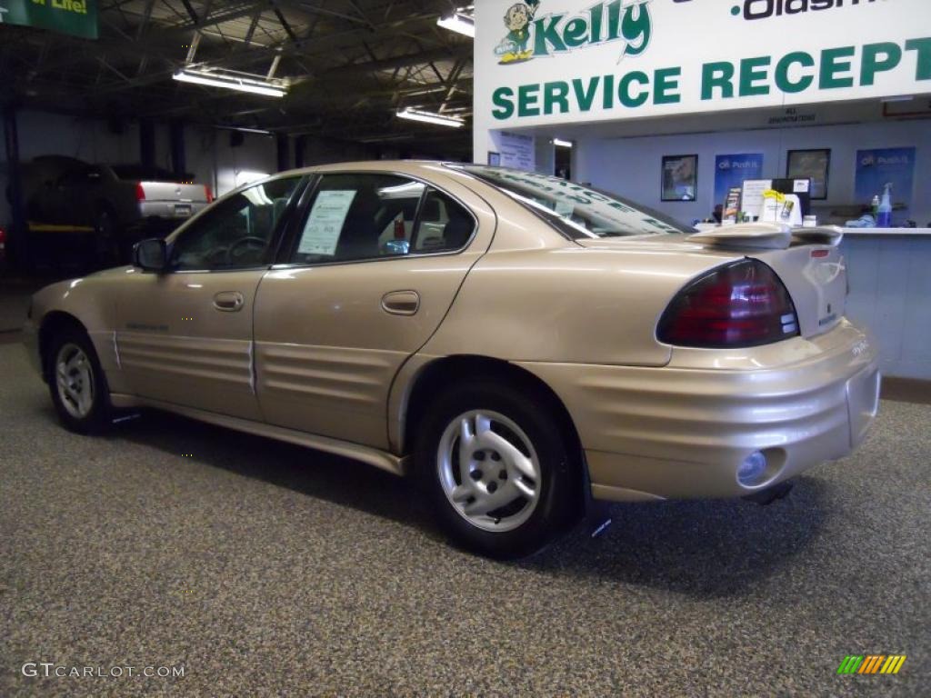 2000 Grand Am SE Sedan - Auburn Mist Metallic / Dark Pewter photo #3