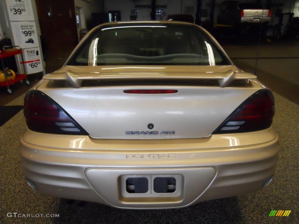 2000 Grand Am SE Sedan - Auburn Mist Metallic / Dark Pewter photo #4