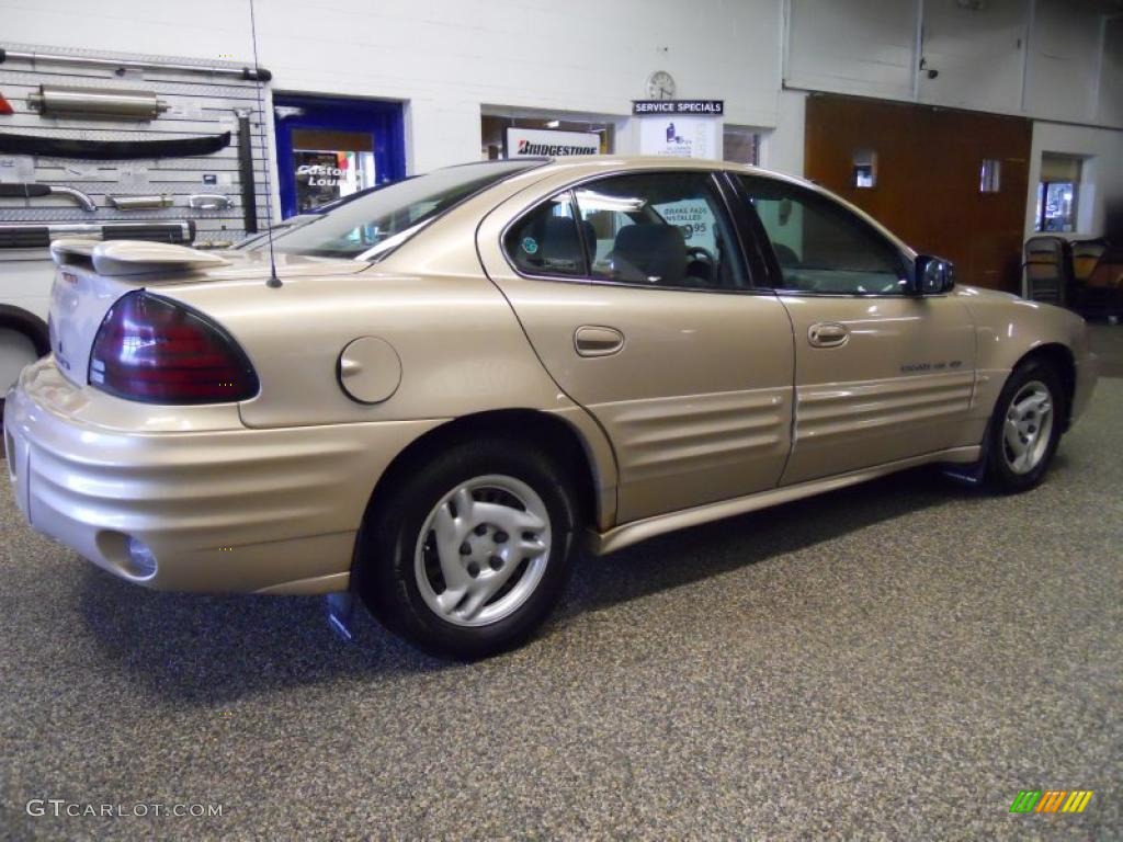 2000 Grand Am SE Sedan - Auburn Mist Metallic / Dark Pewter photo #5