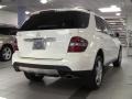 Arctic White - ML 350 4Matic Photo No. 4