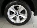 2010 BMW X6 xDrive35i Wheel and Tire Photo