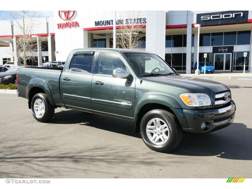 2005 Tundra SR5 Double Cab 4x4 - Timberland Green Mica / Taupe photo #1