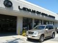 Savannah Beige Metallic 2009 Lexus GX 470