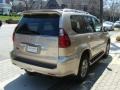 Savannah Beige Metallic - GX 470 Photo No. 4