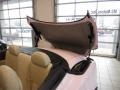 Custom Pink - SC 430 Photo No. 30