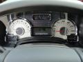Chaparral Leather Gauges Photo for 2011 Ford Expedition #47661970