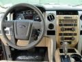 Pale Adobe Dashboard Photo for 2011 Ford F150 #47664757