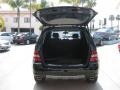 Black - ML 350 4Matic Photo No. 5