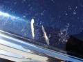 Midnight Blue Pearlcoat - 300 C HEMI Photo No. 11