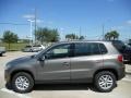 Alpine Gray Metallic 2011 Volkswagen Tiguan S Exterior