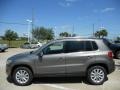  2011 Tiguan SE Alpine Gray Metallic