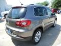 Alpine Gray Metallic - Tiguan SE Photo No. 7