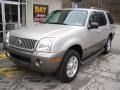 Silver Birch Metallic - Mountaineer AWD Photo No. 1
