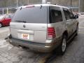Silver Birch Metallic - Mountaineer AWD Photo No. 3
