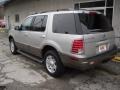 Silver Birch Metallic - Mountaineer AWD Photo No. 4
