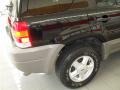Black Clearcoat - Escape XLT V6 Photo No. 10