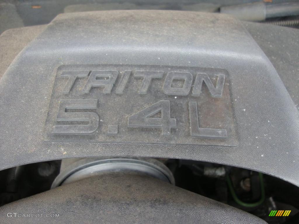 2003 Ford F150 FX4 SuperCab 4x4 5.4 Liter SOHC 16V Triton V8 Engine Photo #47684197