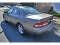 Cashmere Beige Metallic - ES 300 Photo No. 3