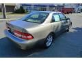 Cashmere Beige Metallic - ES 300 Photo No. 5