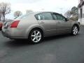 Spirited Bronze Pearl - Maxima 3.5 SE Photo No. 3