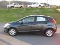 Monterey Grey Metallic - Fiesta SE Hatchback Photo No. 1