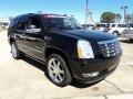 Black Raven - Escalade  Photo No. 2