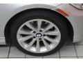 2009 Titanium Silver Metallic BMW 3 Series 328i Sedan  photo #14