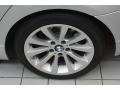 2009 Titanium Silver Metallic BMW 3 Series 328i Sedan  photo #20