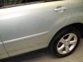 Bamboo Green Pearl - RX 350 AWD Photo No. 4