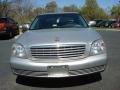 Light Platinum - DeVille Sedan Photo No. 8