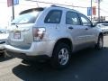 2008 Silverstone Metallic Chevrolet Equinox LS  photo #4